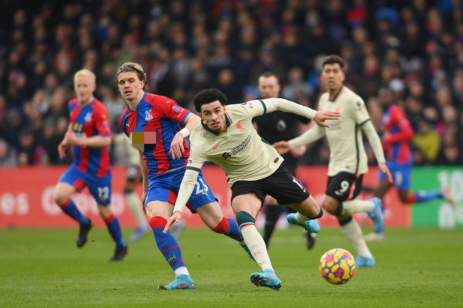 才华横溢的 才华横溢的